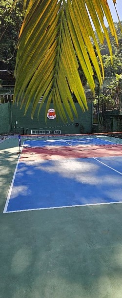 Pickleball